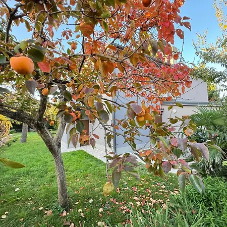 Flowers Medulin, Fucane 2 Appartamento Medolino