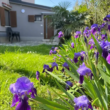 Appartamento Flowers Medulin, Fucane 2 Medolino