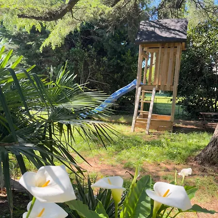 Apartman Flowers Medulin, Fucane 2 Medulin